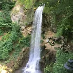Mse