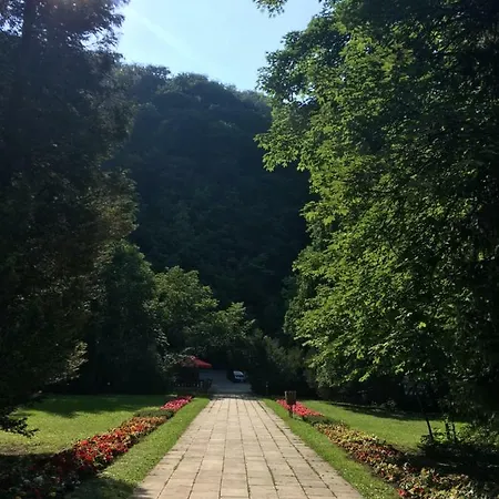 Mse * Miskolc