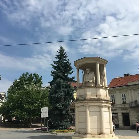 Mse Miskolc