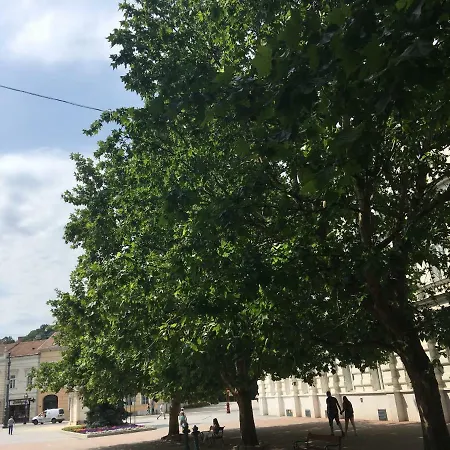 Mse Miskolc