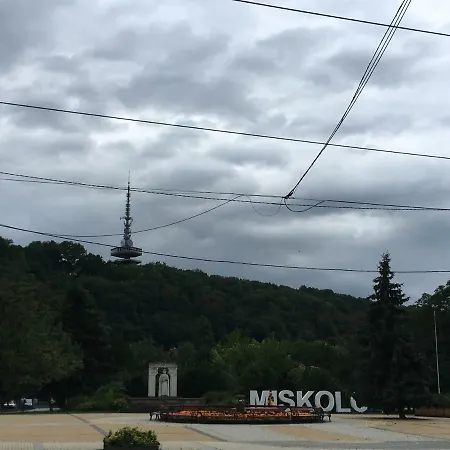 Mse